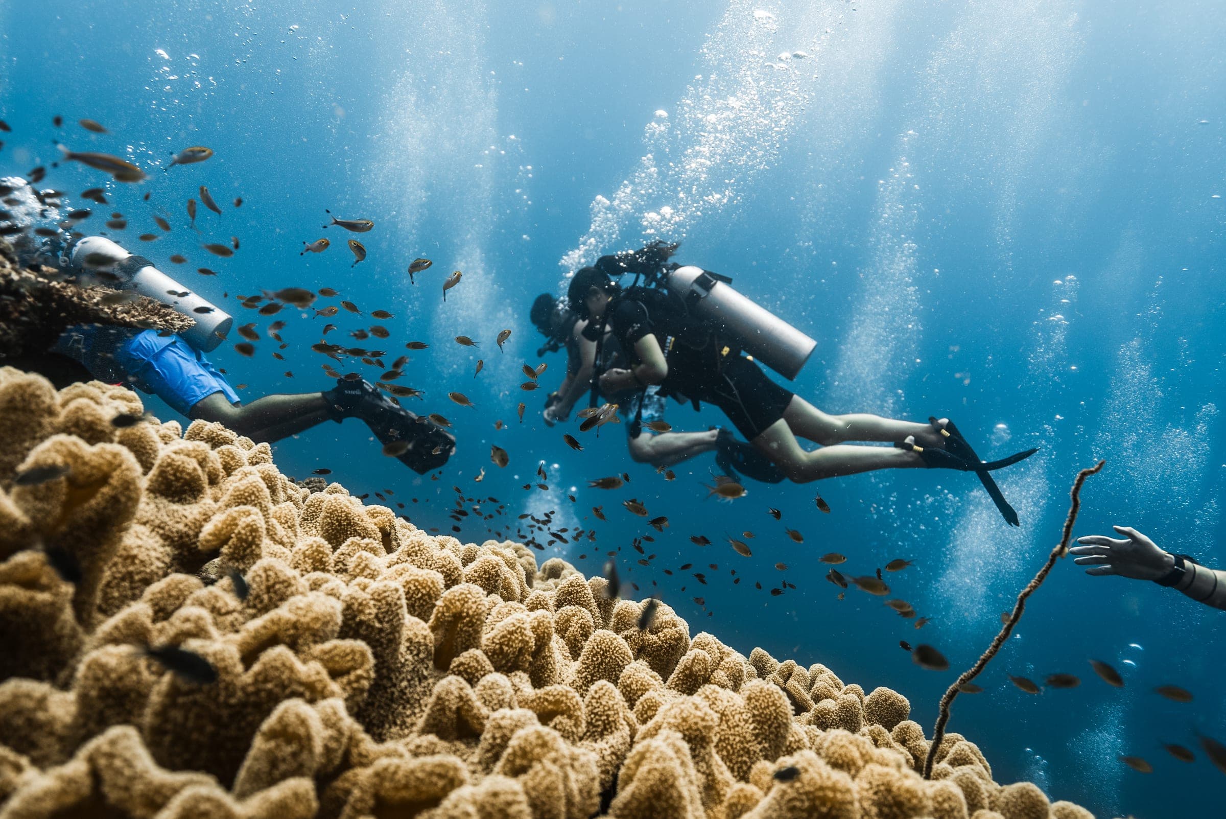 Open Water course at Onyx Divers Koh Tao