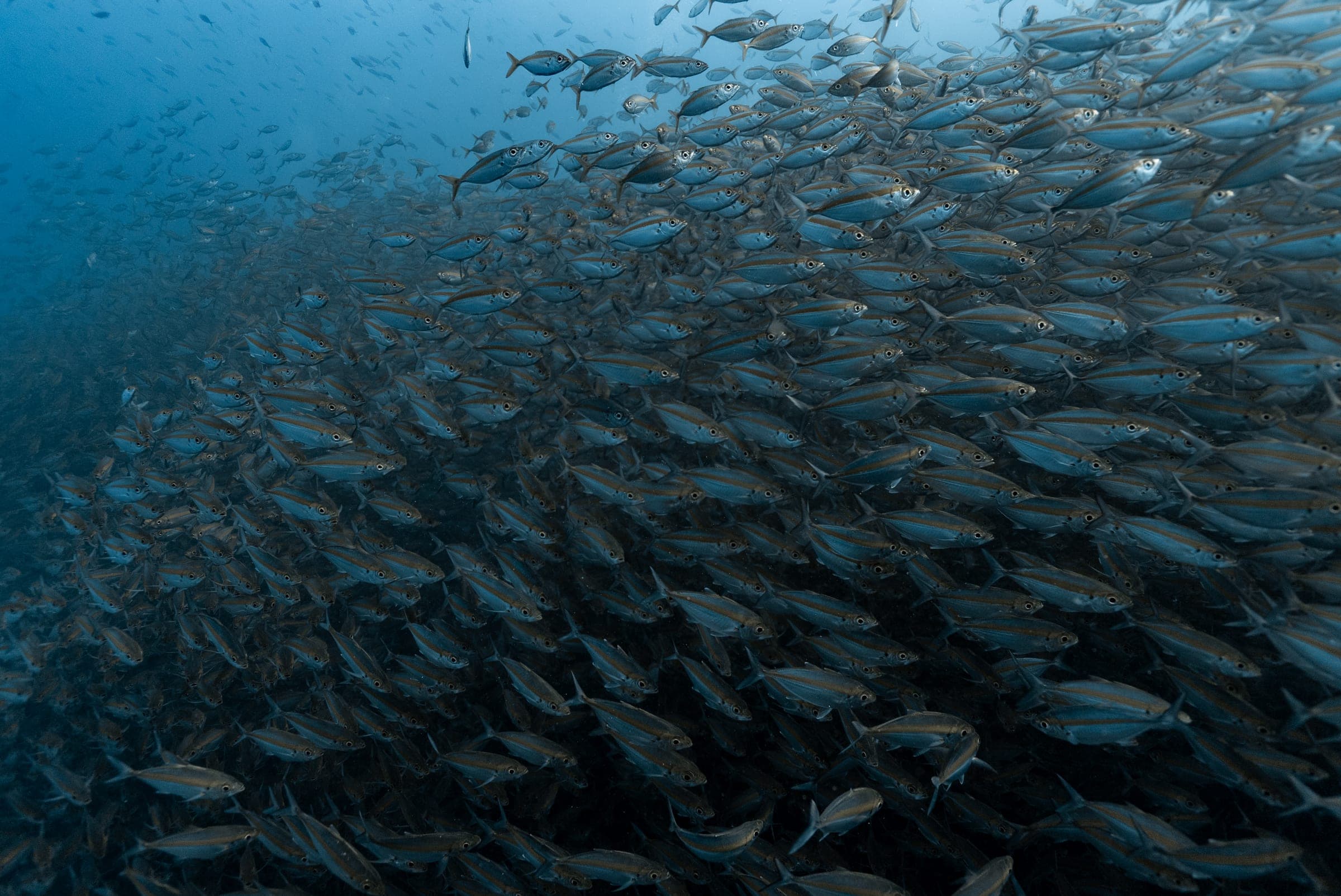 Sail Rock (Hin Bai) underwater