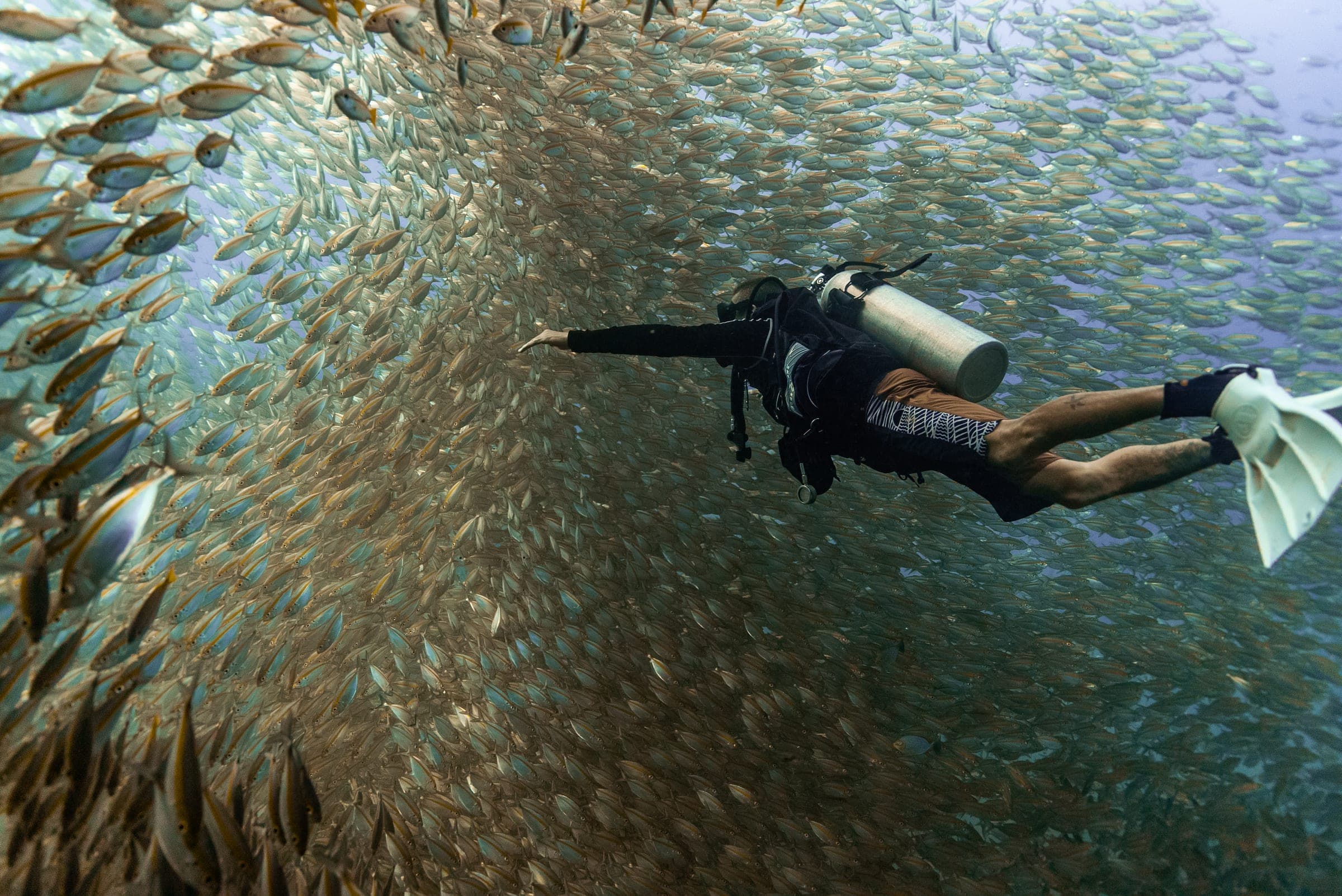 Onyx Divers dive school in Koh Tao