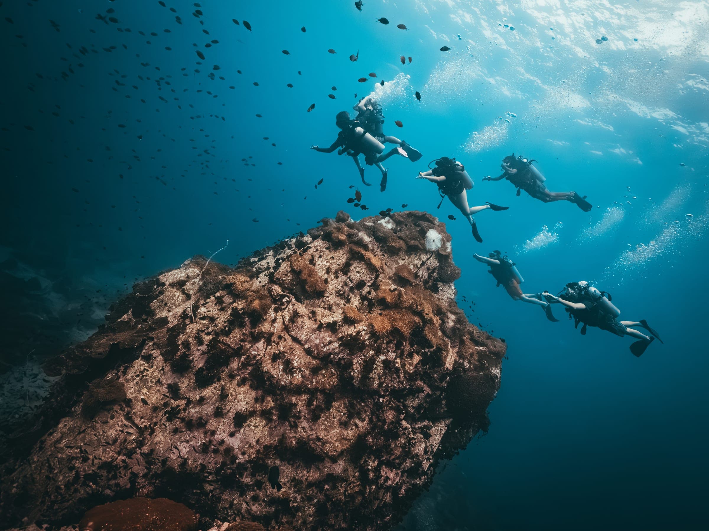 Fun dives at Onyx Divers Koh Tao - photo 1
